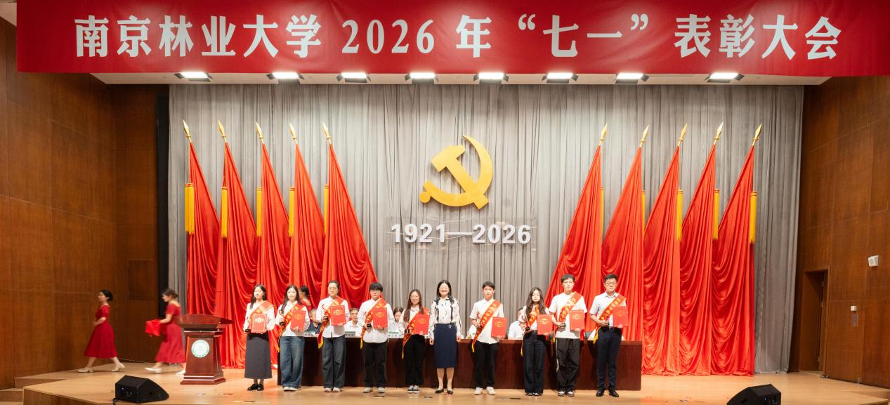 图片11_19469图片11